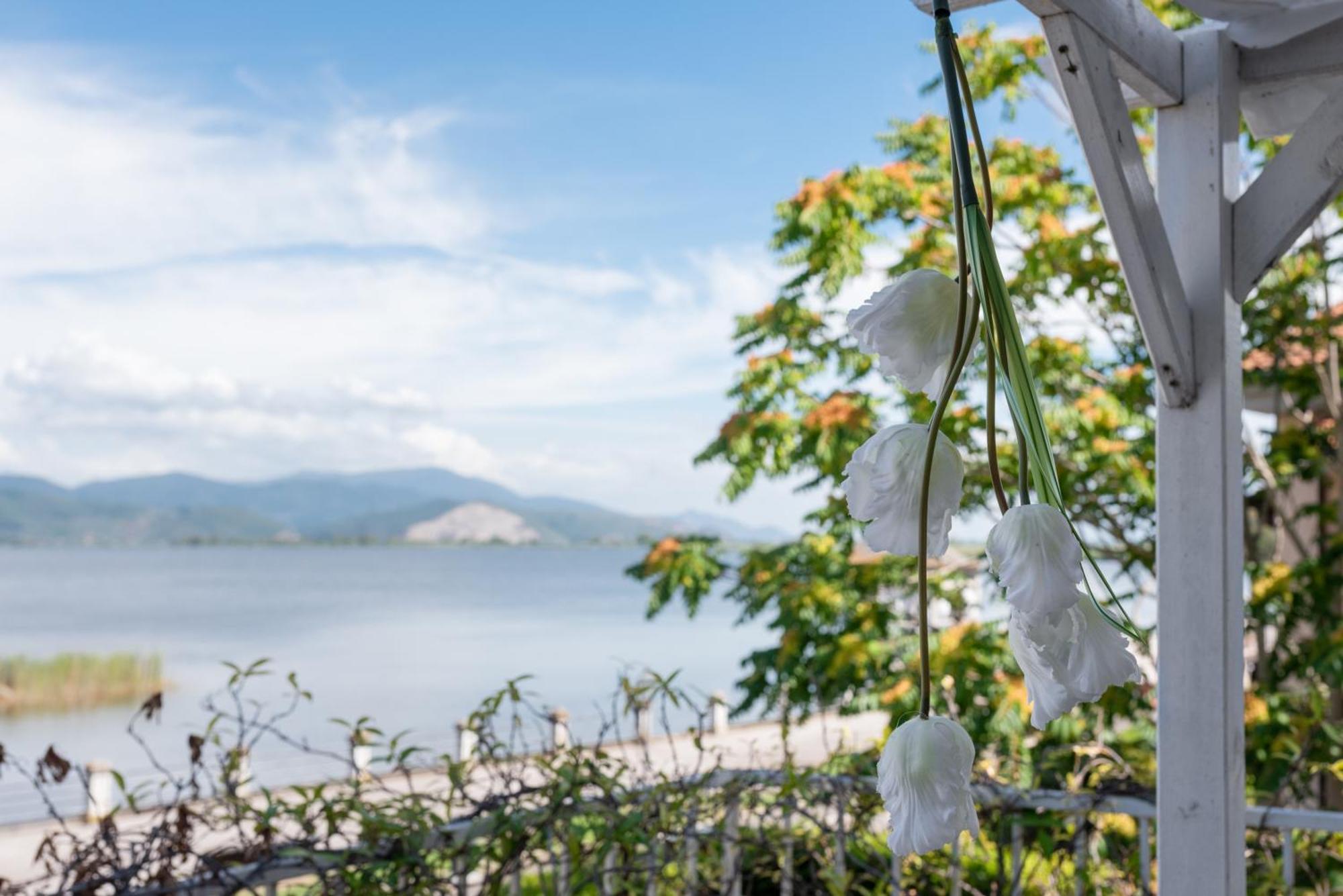 Hotel Butterfly Torre del Lago Puccini Exterior photo